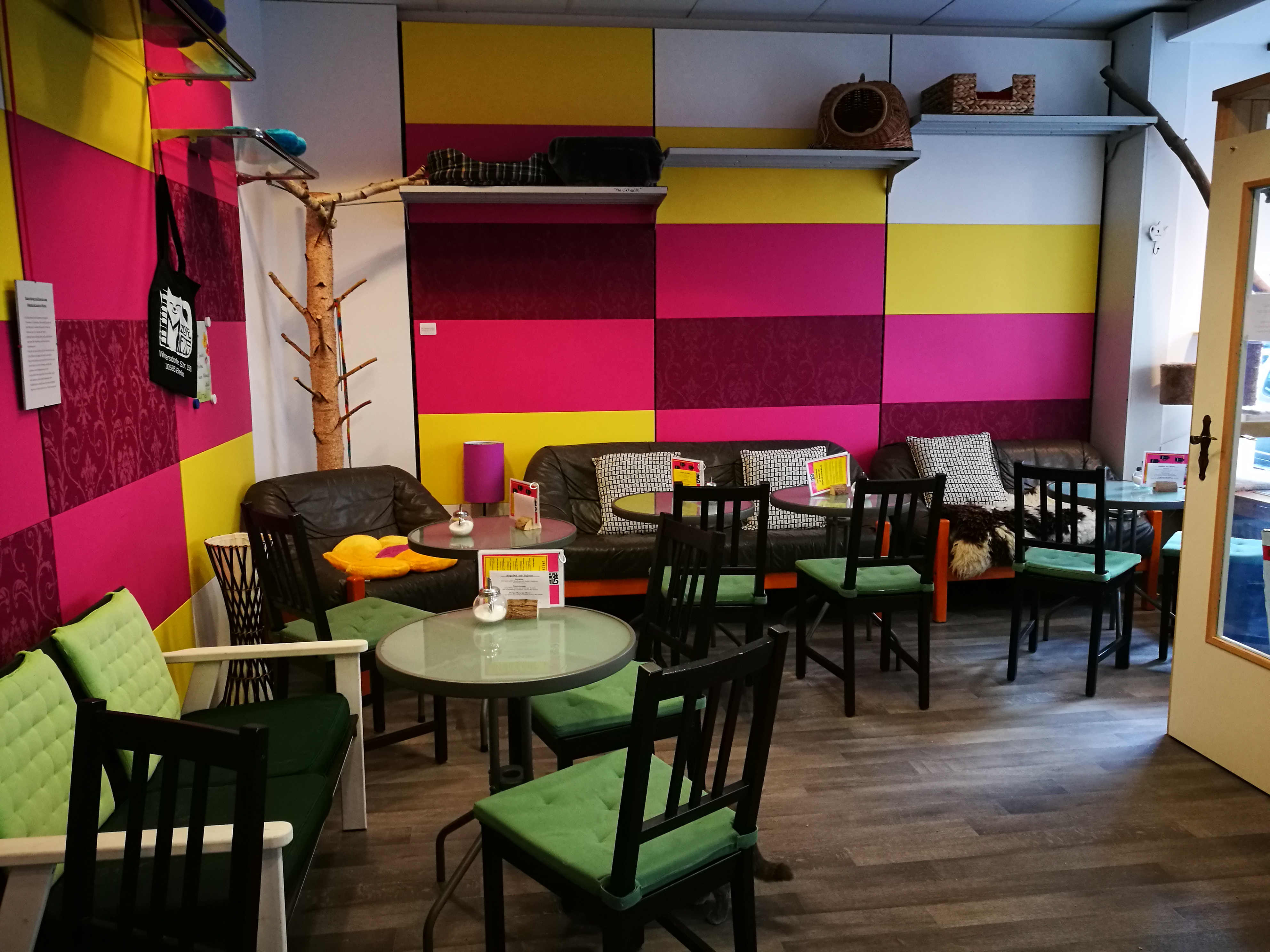 Café-Innenraum mit bunter Wand
