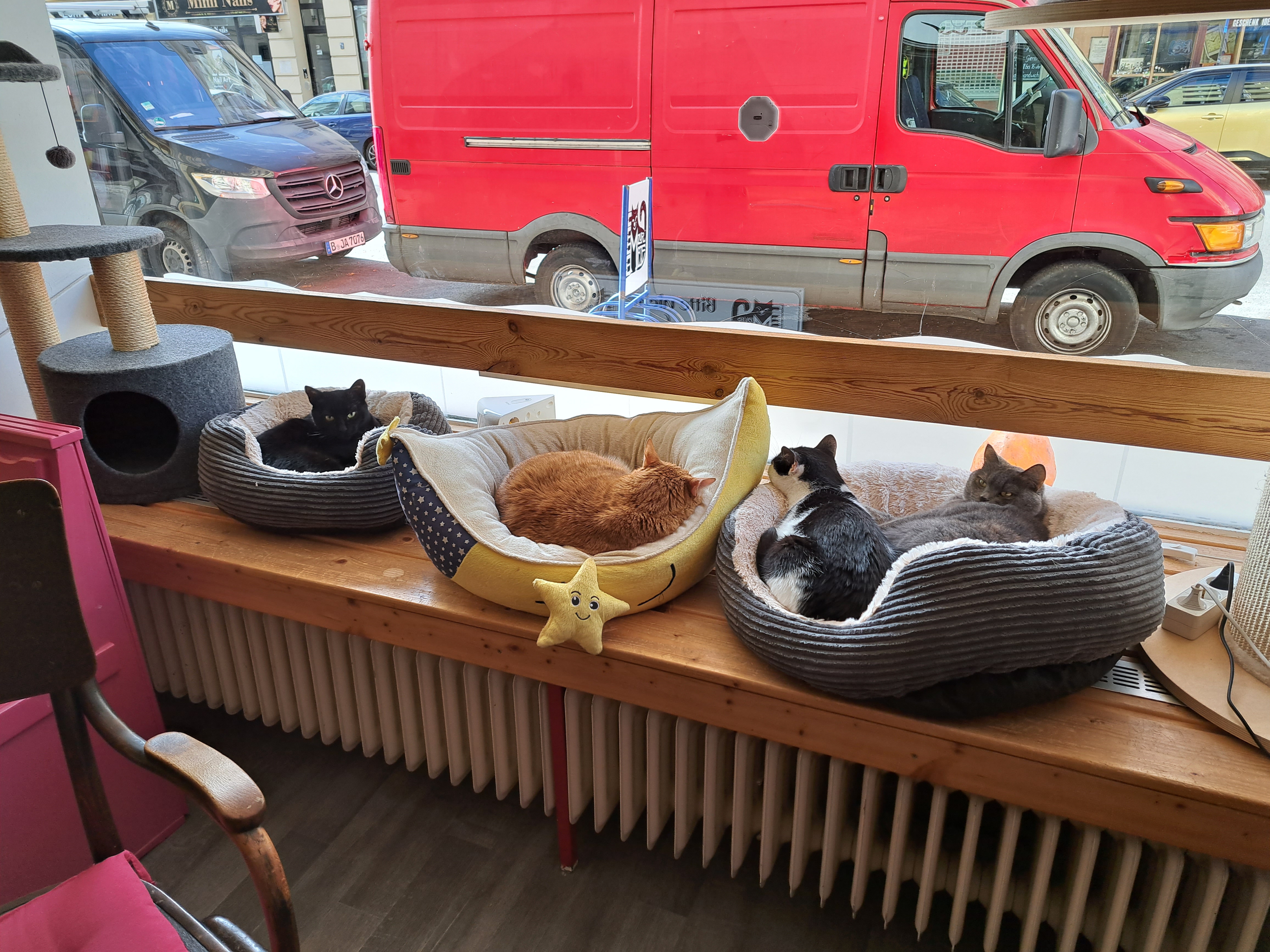 Eindruck aus dem Café